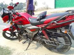 Zaara 100